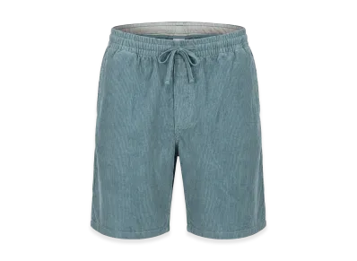 Patagonia Shorts "Blue"