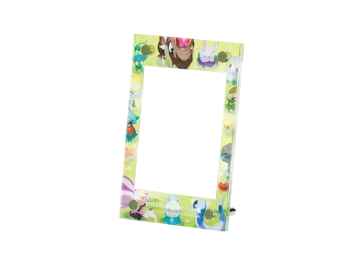 Pokemon Card Game Display Flame Dragon Friends