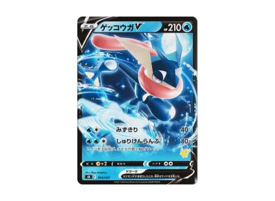 psa10 ゲッコウガv ファミリーポケカ ゲッコウガex ポケモンカード psa10 ゲッコウガv ファミリーポケカ ゲッコウガex ポケモンカード