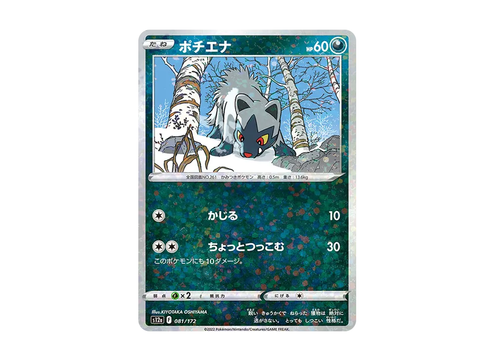 土狼犬 :鏡面 [S12a 081/172](高級包「VSTAR 宇宙」)