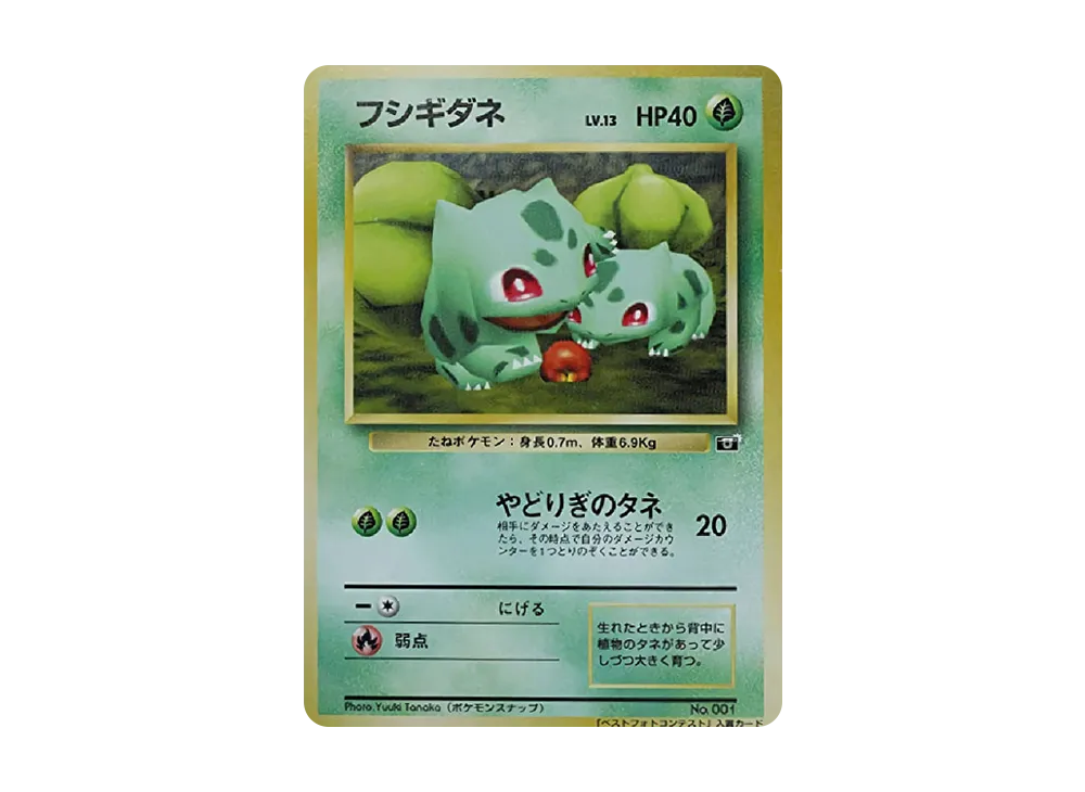 フシギダネ P : 旧裏 [PMCG-P](プロモーションカード「ポケモンスナップ 小学館コロコロコミック主催コンテスト」)