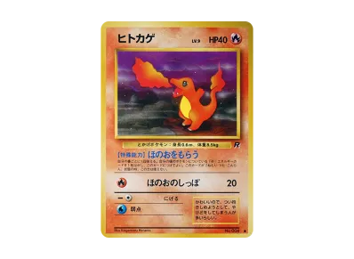 旧裏 プレミアムファイル メガニウム バクフーン オーダイル 進化 旧裏 プレミアムファイル メガニウム バクフーン オーダイル 進化