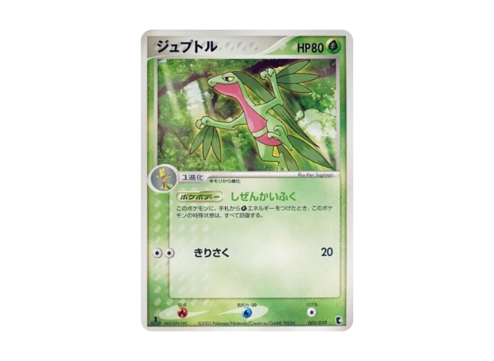 Grovyle :1ED [ADV1-K 005/019](Pre-Built Starters "First Edition Treecko Deck")