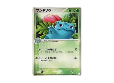 ポケモン ポケモンカードゲーム「マスターキット」 BOX・封入カード ポケモン ポケモンカードゲーム「マスターキット」 BOX・封入カード
