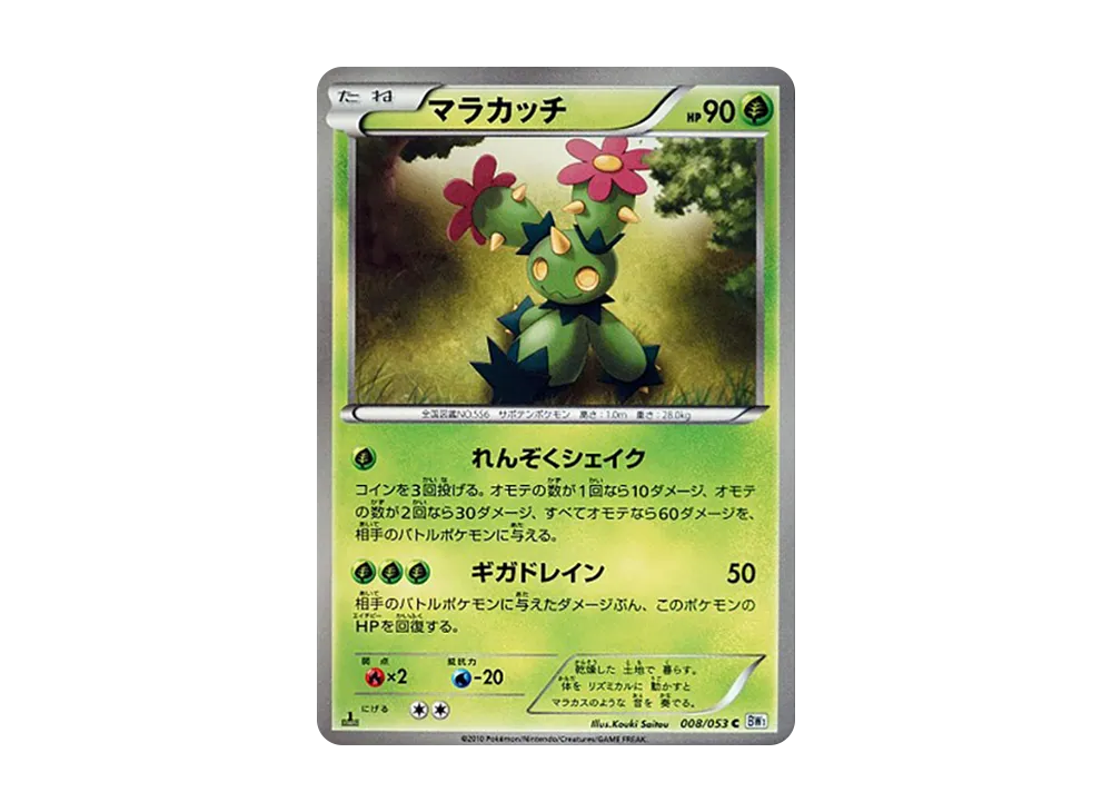 Maractus