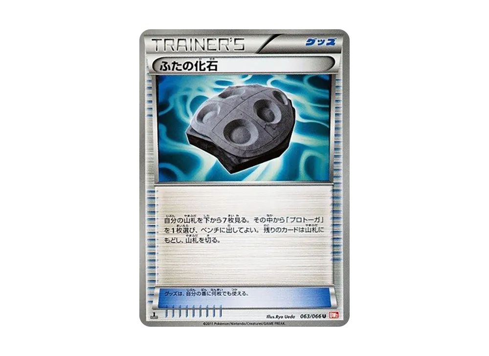 Cover Fossil
