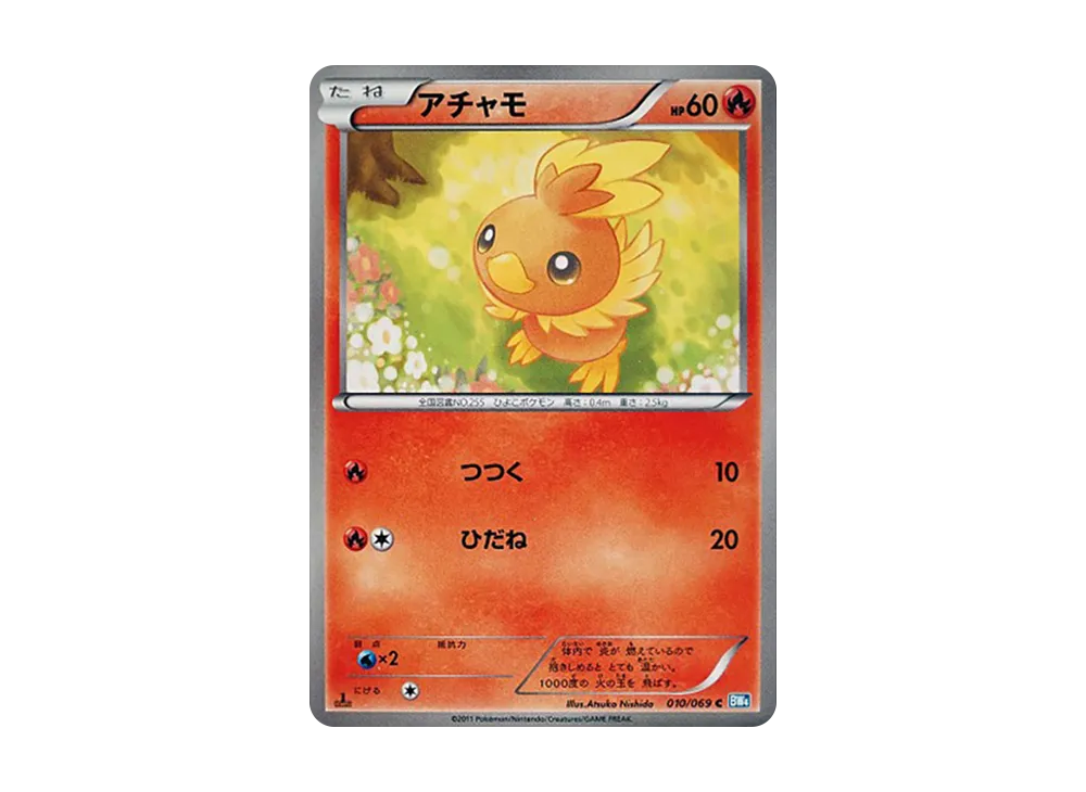 Torchic