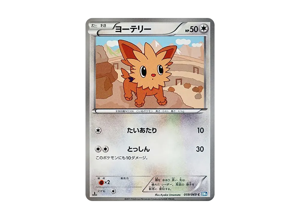 Lillipup