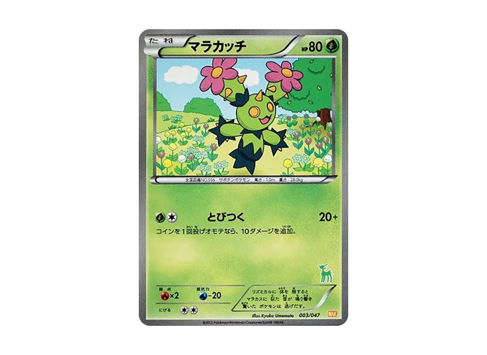 Pokémon Web 003