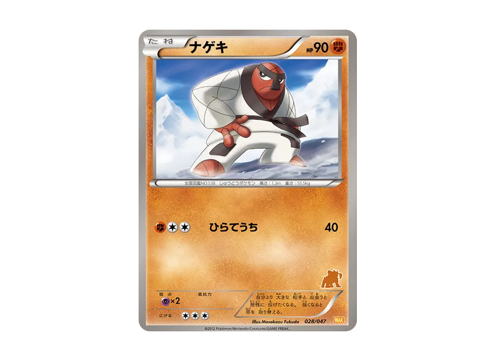 Pokémon Web 028