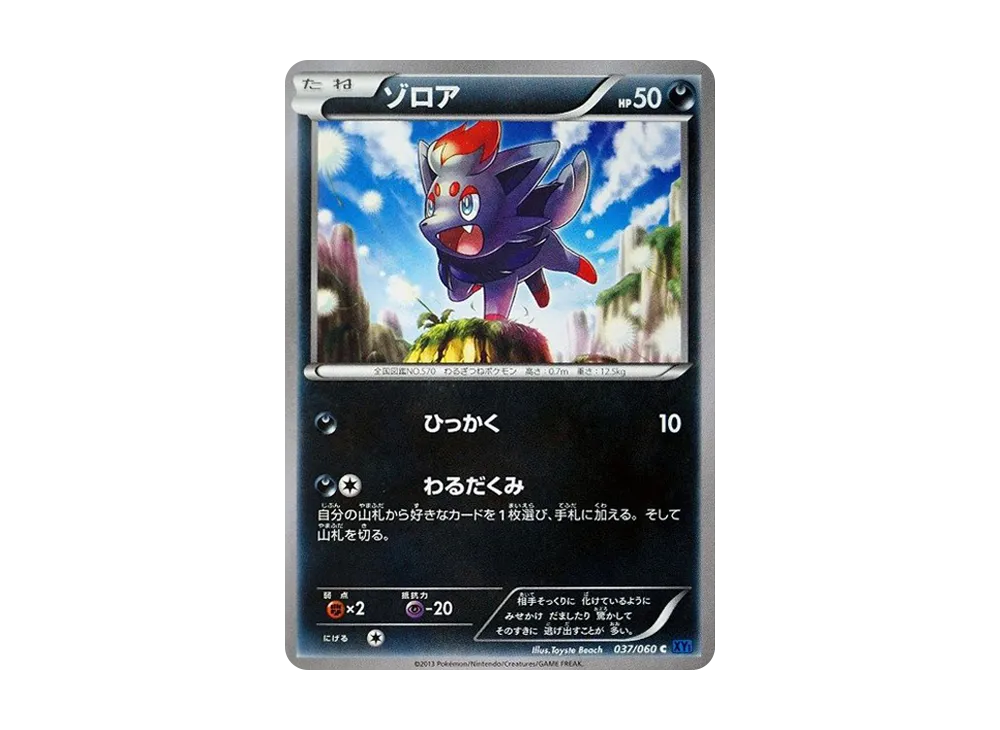 索羅亞 C [XY1 037/060](擴充包「X 收藏」)