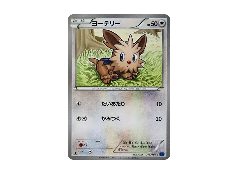 Lillipup