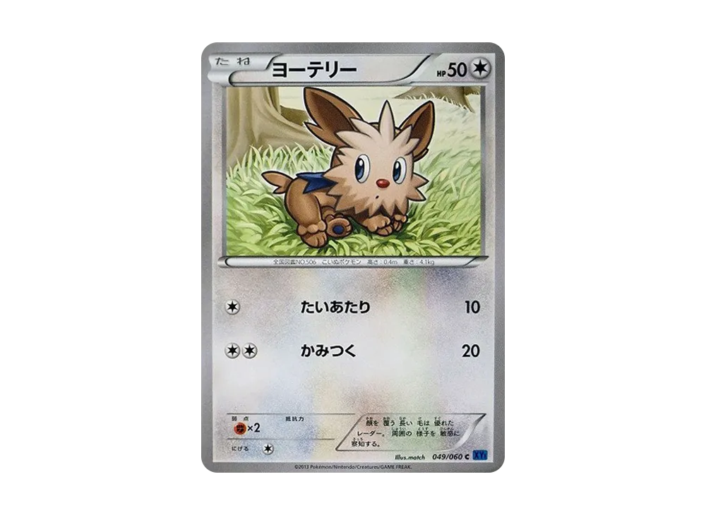 小約克 C [XY1 049/060](擴充包「X 收藏」)