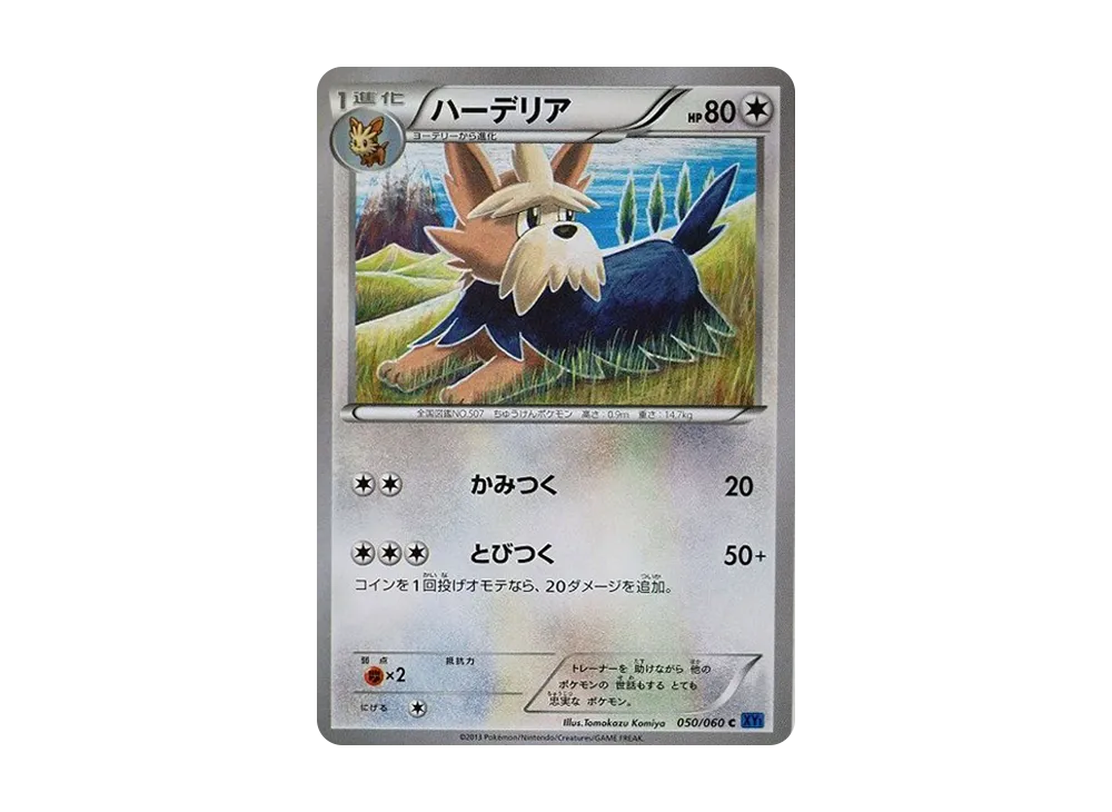 哈約克 C [XY1 050/060](擴充包「X 收藏」)