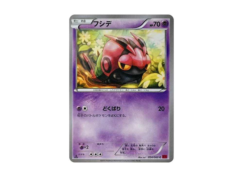 フシデ C :1ED [XY1 024/060](擴充包「Y 收藏」)
