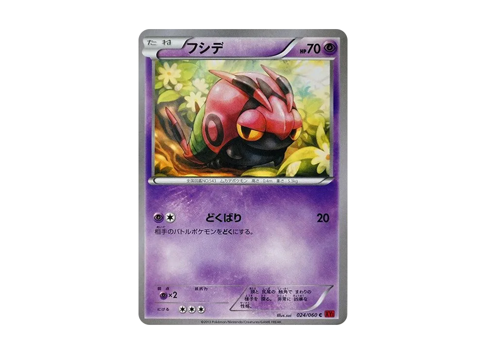 フシデ C [XY1 024/060](擴充包「Y 收藏」)