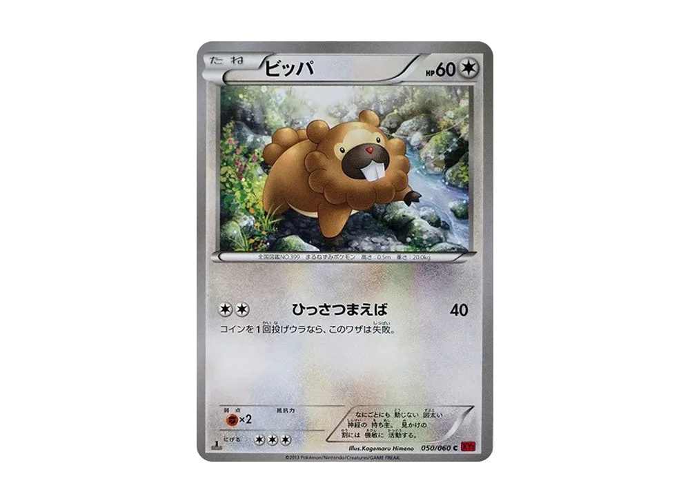 ビッパ C :1ED [XY1 050/060](擴充包「Y 收藏」)
