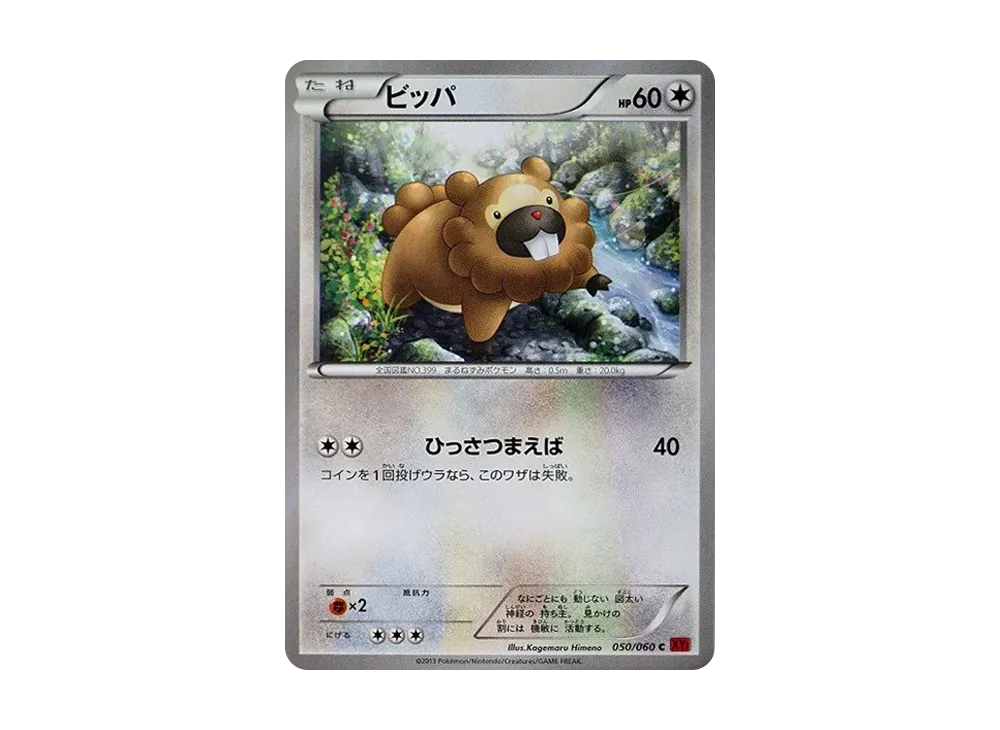 ビッパ C [XY1 050/060](擴充包「Y 收藏」)