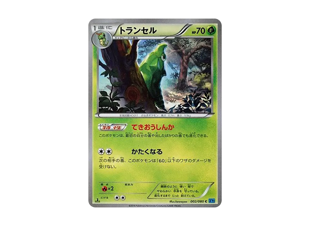 Metapod