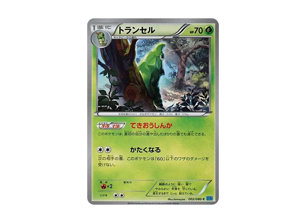 トランセル C [XY2 002/080](擴充包「狂野烈焰」)