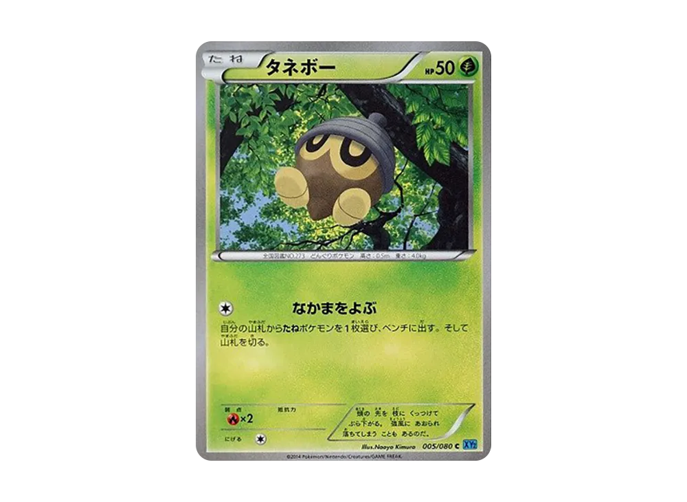 橡實果 C [XY2 005/080](擴充包「狂野烈焰」)