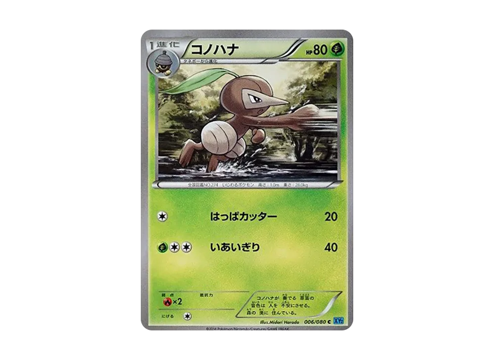 長鼻葉 C [XY2 006/080](擴充包「狂野烈焰」)