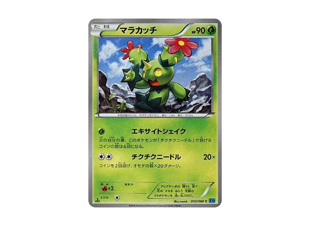 Maractus