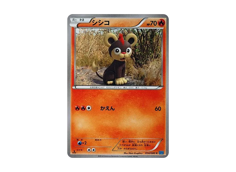 Litleo