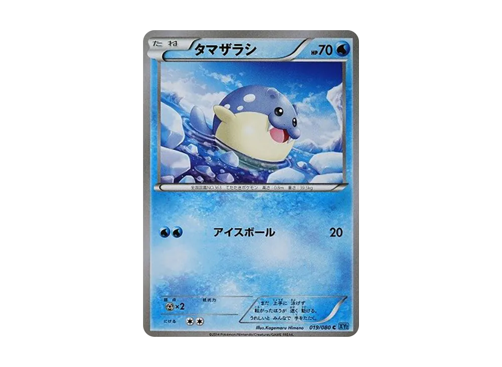 海豹球 C [XY2 019/080](擴充包「狂野烈焰」)