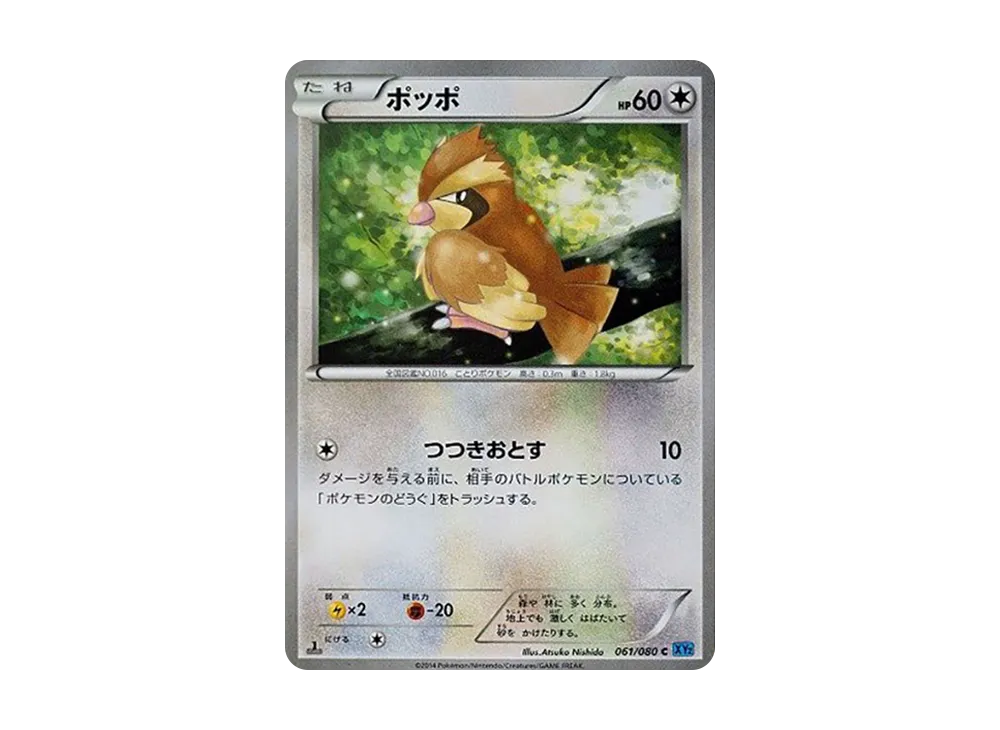 Pidgey