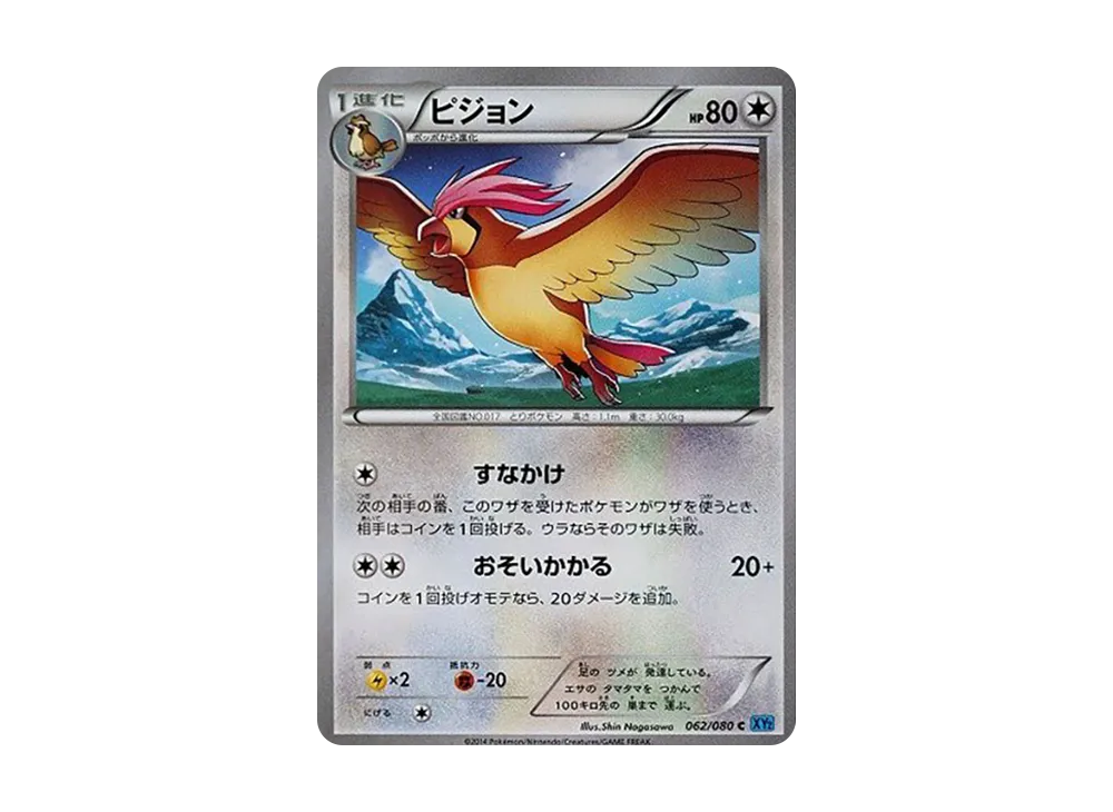 比比鳥 C [XY2 062/080](擴充包「狂野烈焰」)