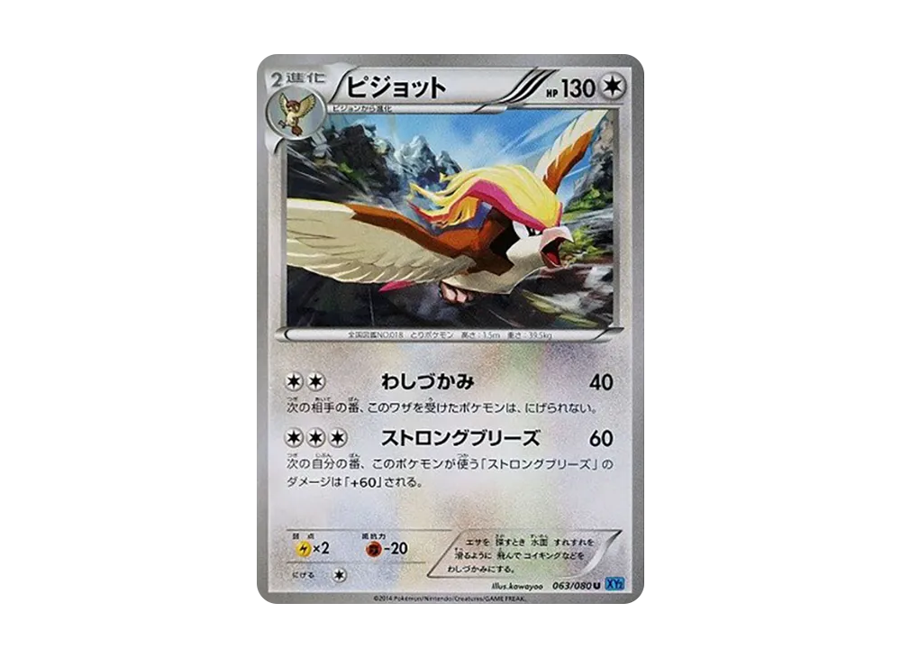 大比鳥 U [XY2 063/080](擴充包「狂野烈焰」)