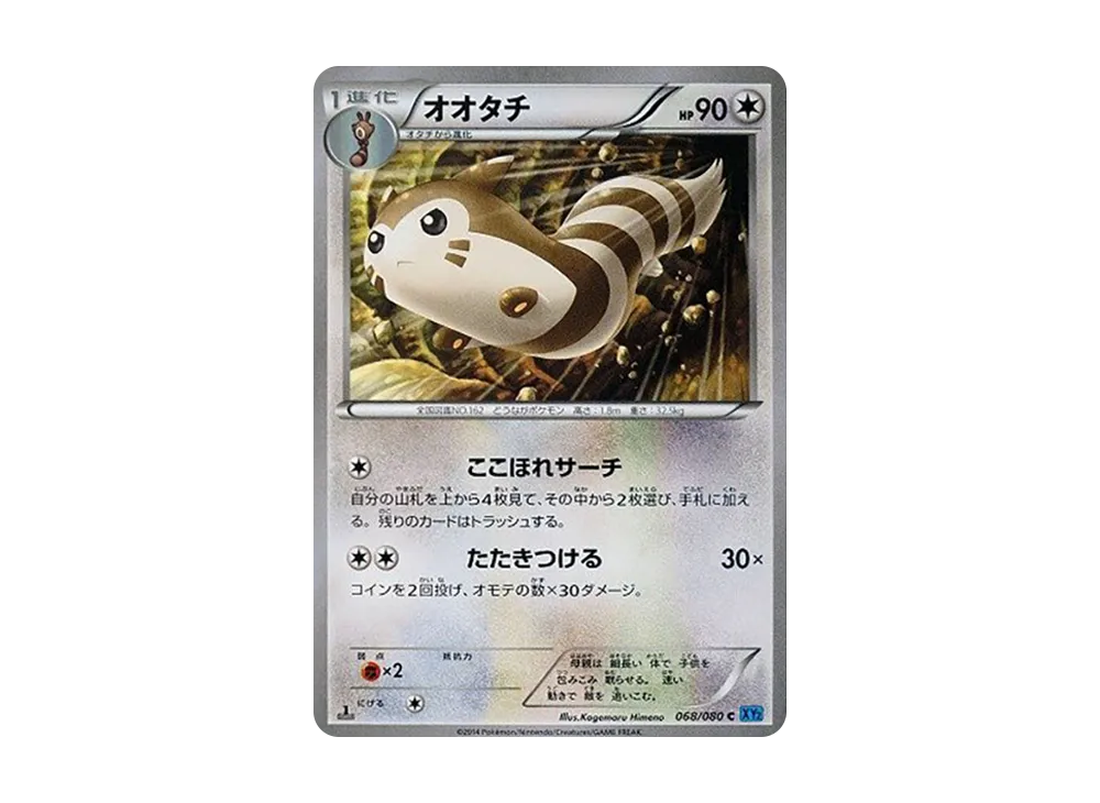Furret