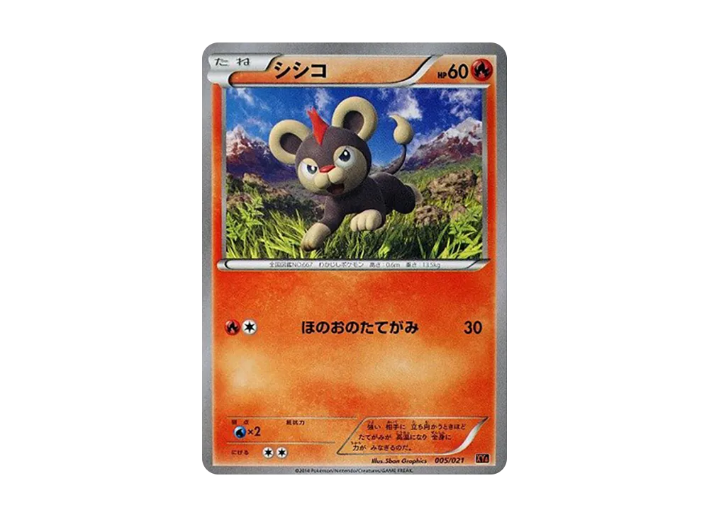Litleo