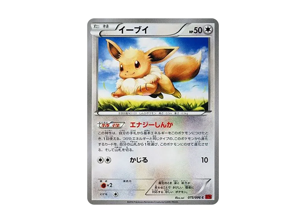 伊布 C [XY3 075/096](擴充包「崛起之拳」)
