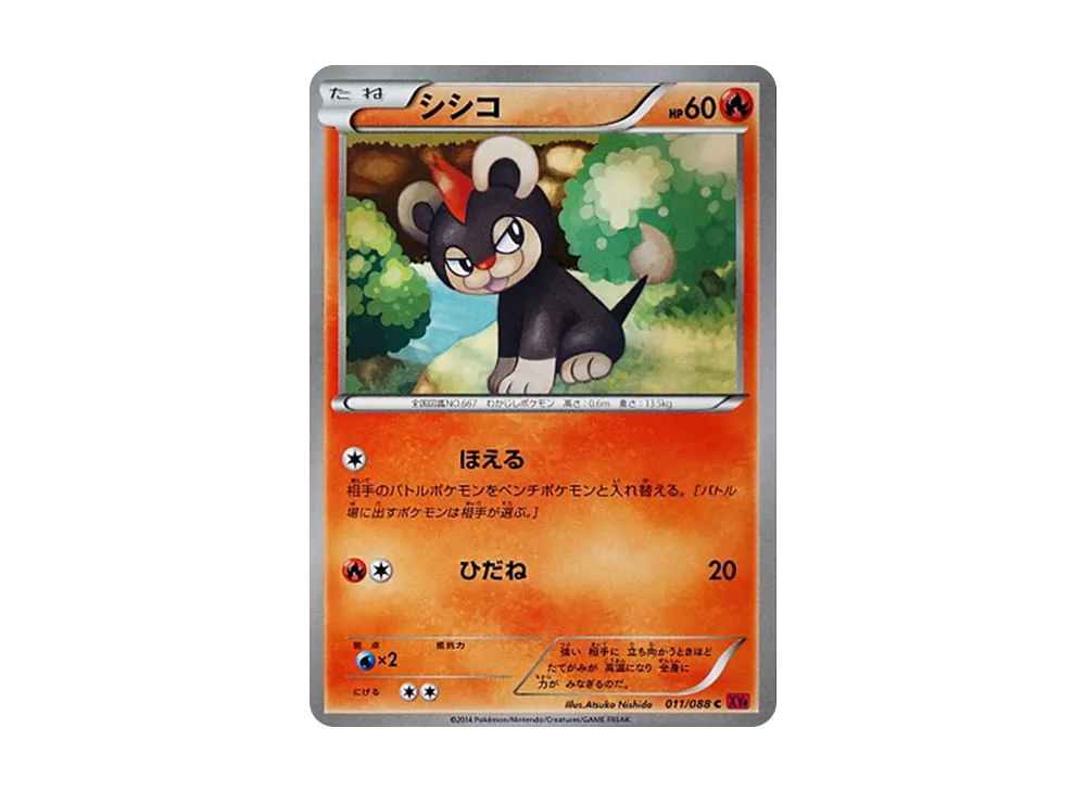 シシコ C [XY4 011/088](拡張パック「ファントムゲート」)