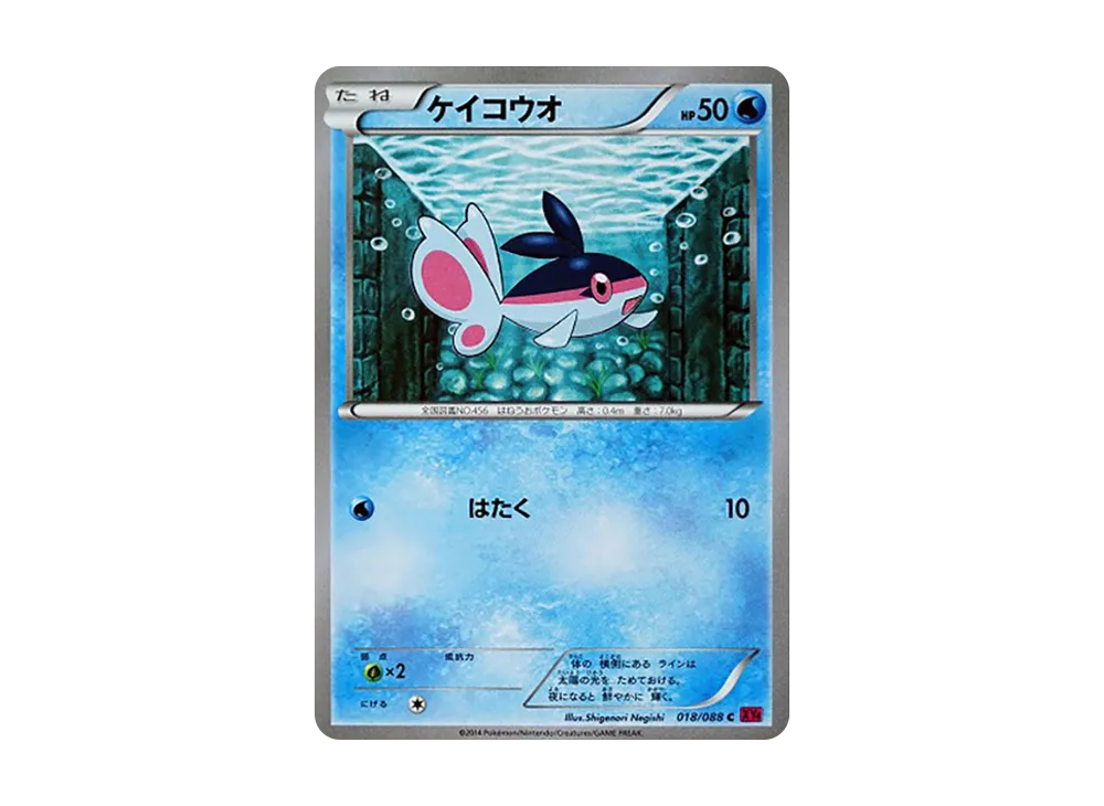 ケイコウオ C [XY4 018/088](拡張パック「ファントムゲート」)