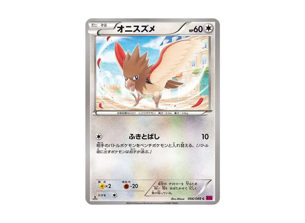 Spearow