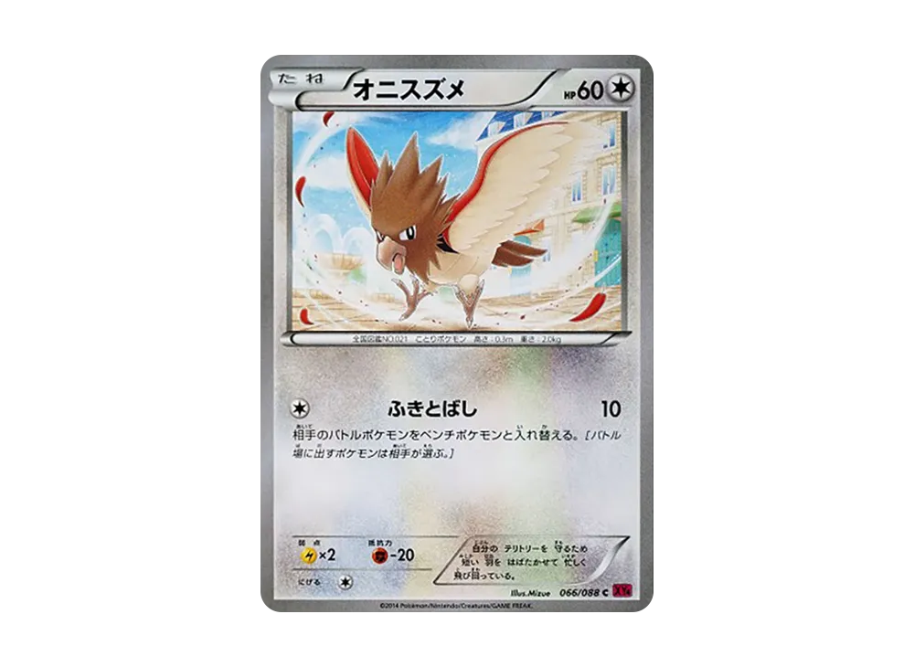 波波鳥 C [XY4 066/088](擴充包「幻影之門」)
