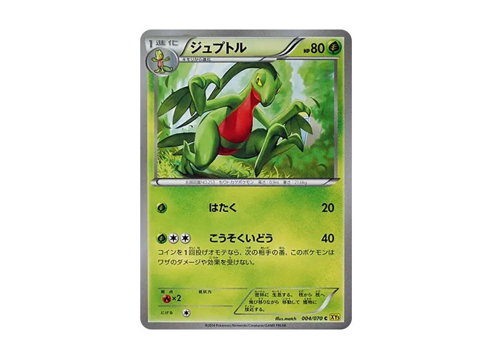巨プトル C [XY5 004/070](擴充包「蓋亞火山」)