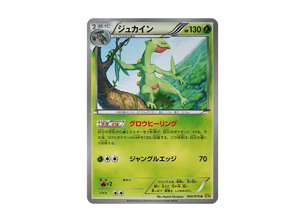 蜥蜴王 U [XY5 005/070](擴充包「蓋亞火山」)