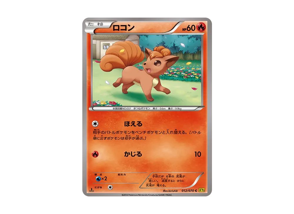 Mudkip