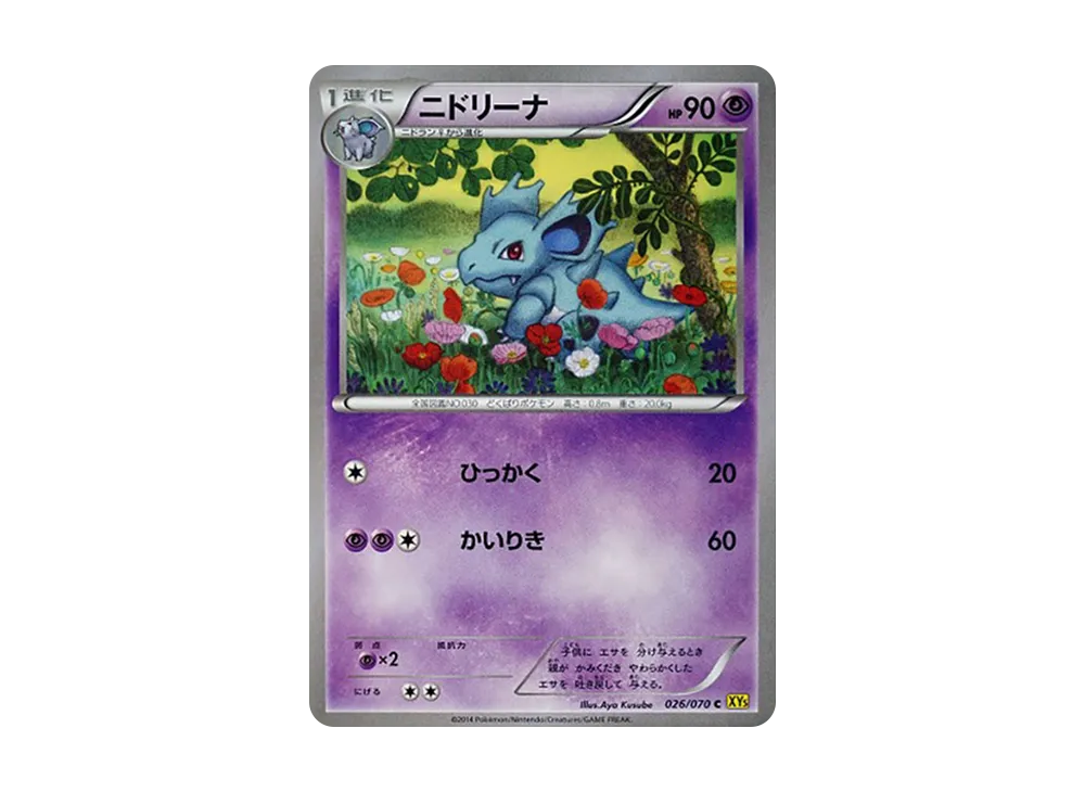 尼多娜 C [XY5 026/070](擴充包「蓋亞火山」)