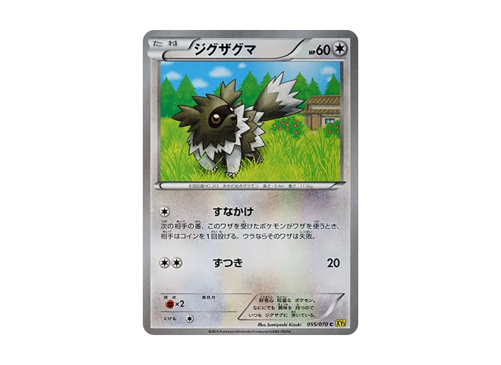 蛇紋熊 C [XY5 055/070](擴充包「蓋亞火山」)