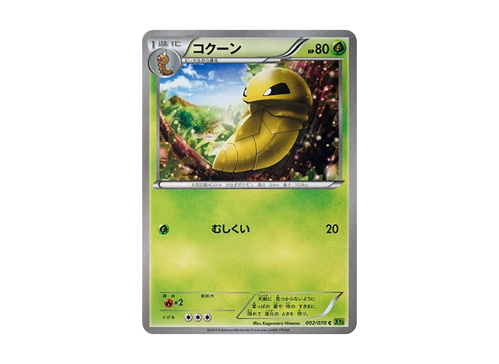 コクーン C [XY5 002/070](擴充包「潮汐風暴」)