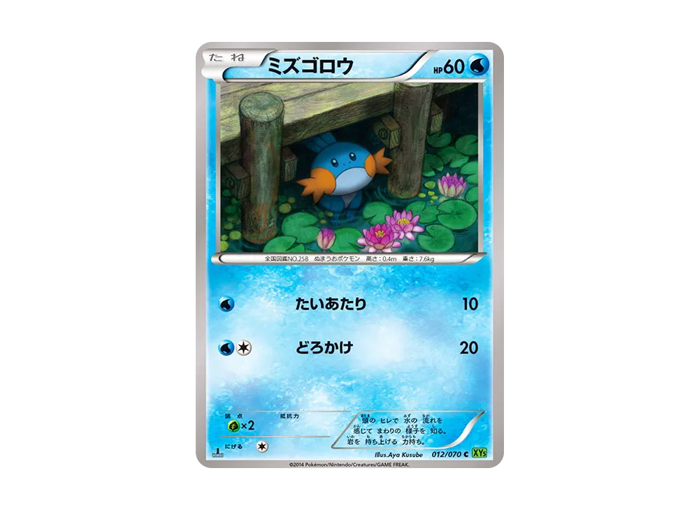 ミズゴロウ C :1ED [XY5 012/070](拡張パック「タイダルストーム」)