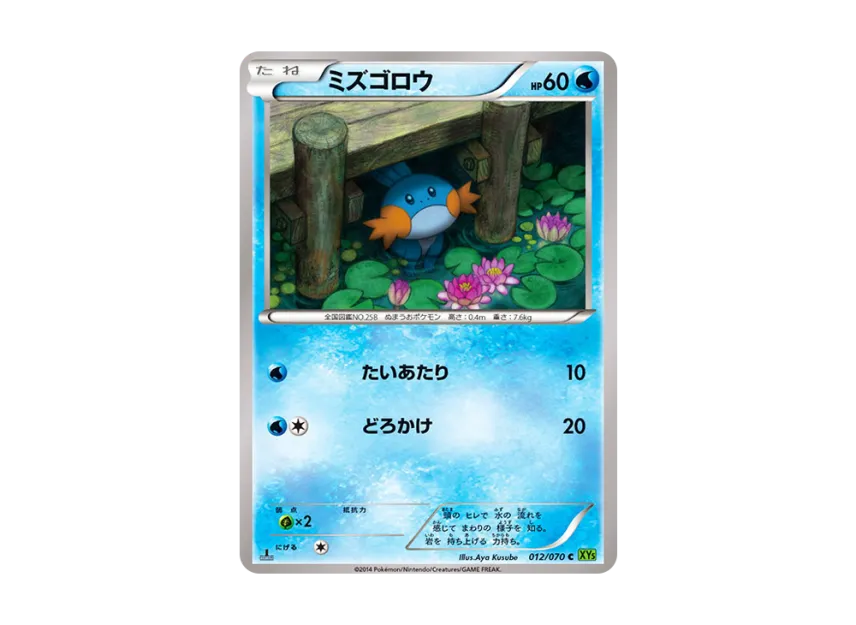 pop14 アンリミ ミズゴロウ 012/070 タイダルストーム psa10 PSA10 pop14 アンリミ ミズゴロウ 012/070 タイダルストーム psa10 PSA10