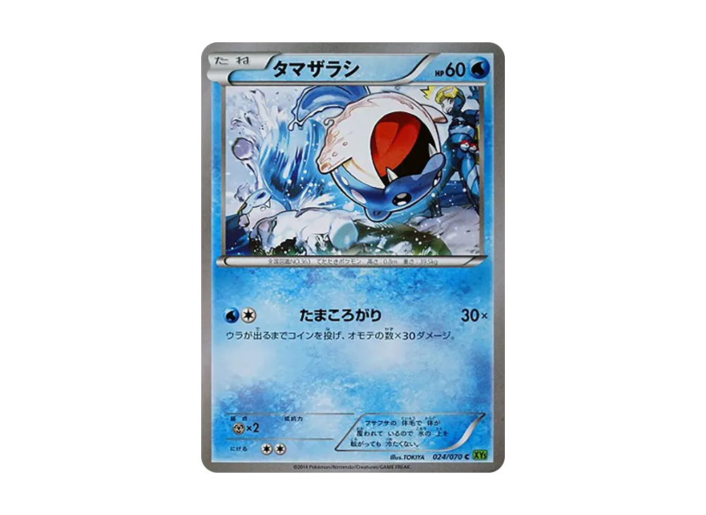 海豹球 C [XY5 024/070](擴充包「潮汐風暴」)