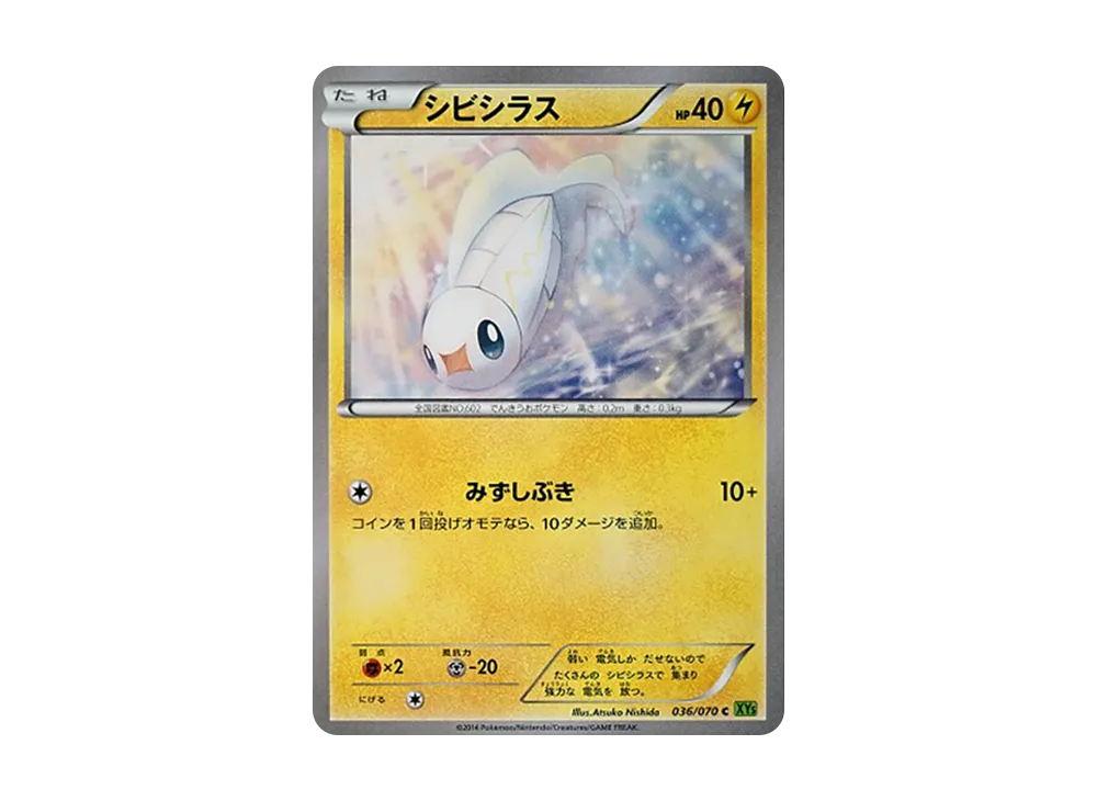 シビシラス C [XY5 036/070](擴充包「潮汐風暴」)