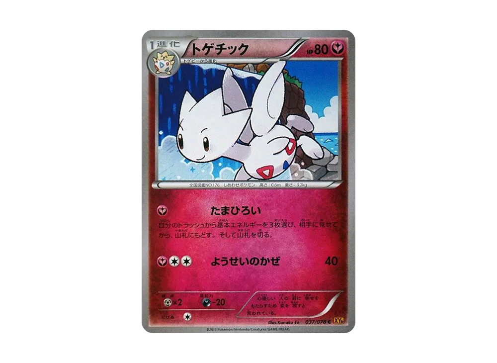 波克基古 C [XY6 037/078](擴充包「翡翠突破」)